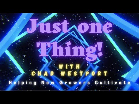 7 Tips For Growing Great Cannabis - w/ Jota Herb - Just One Thing