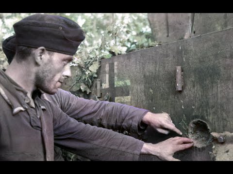 What Truly Knocked Out German Tanks in World War II