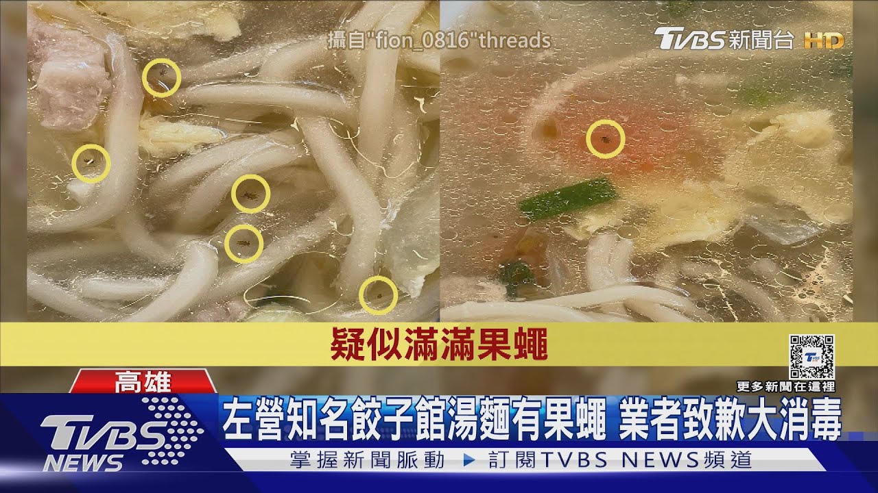 滿滿蛋白質!左營知名餃子館湯麵好多果蠅 業者致歉全面消毒