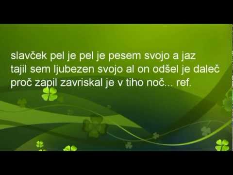 ANSAMBEL LOJZETA SLAKA V DOLINI TIHI Z BESEDILOM
