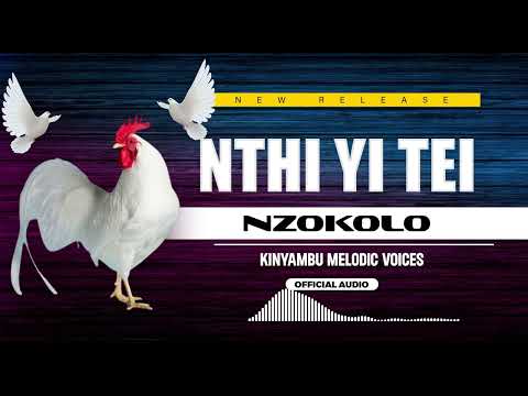 Nzokolo - Nthi Yi Tei (Official Audio)