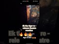 Ek Tha Tiger Re Release Theatre Reaction Ekthatiger Tiger3 Salmankhan Viralshorts Shorts Viral