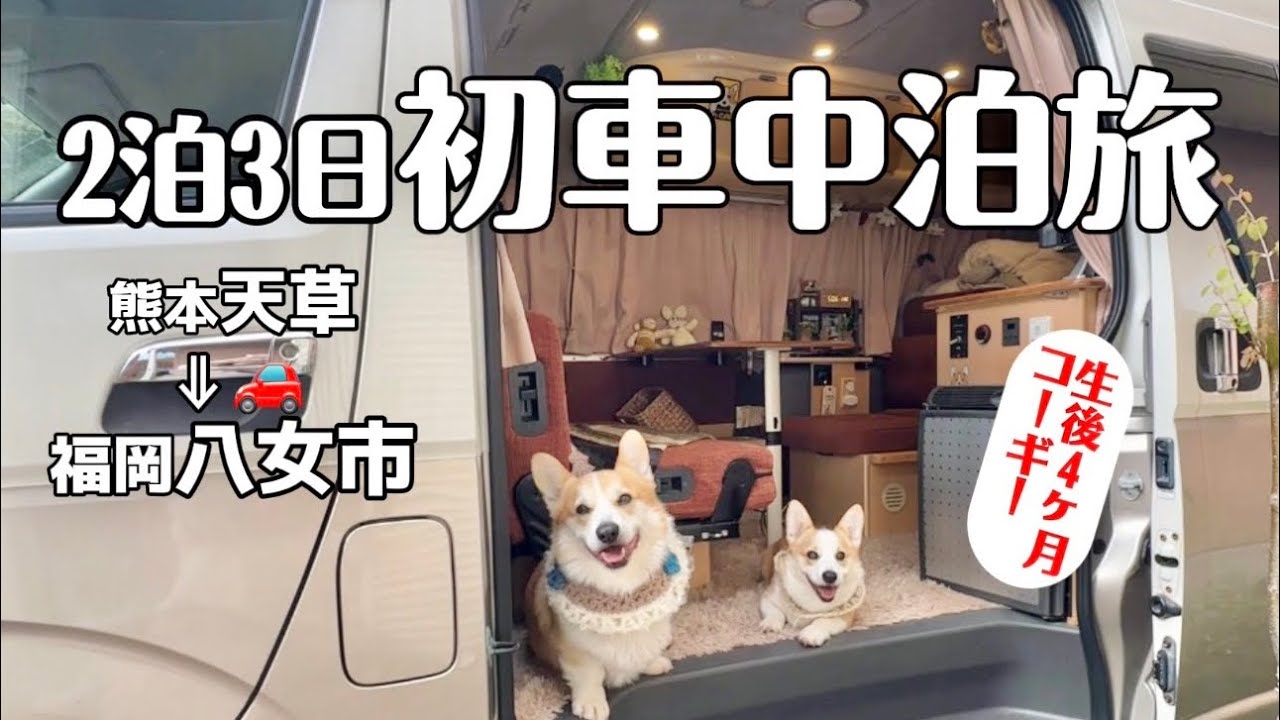 子犬コーギー初の車中泊旅②｜天草→八女🐾車内ごはん＆神社参拝ガラスのお守り