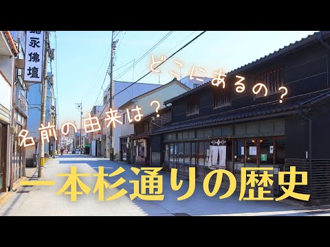 一本杉通りの歴史（日本語）