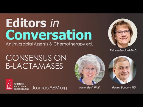 Consensus on B-lactamases