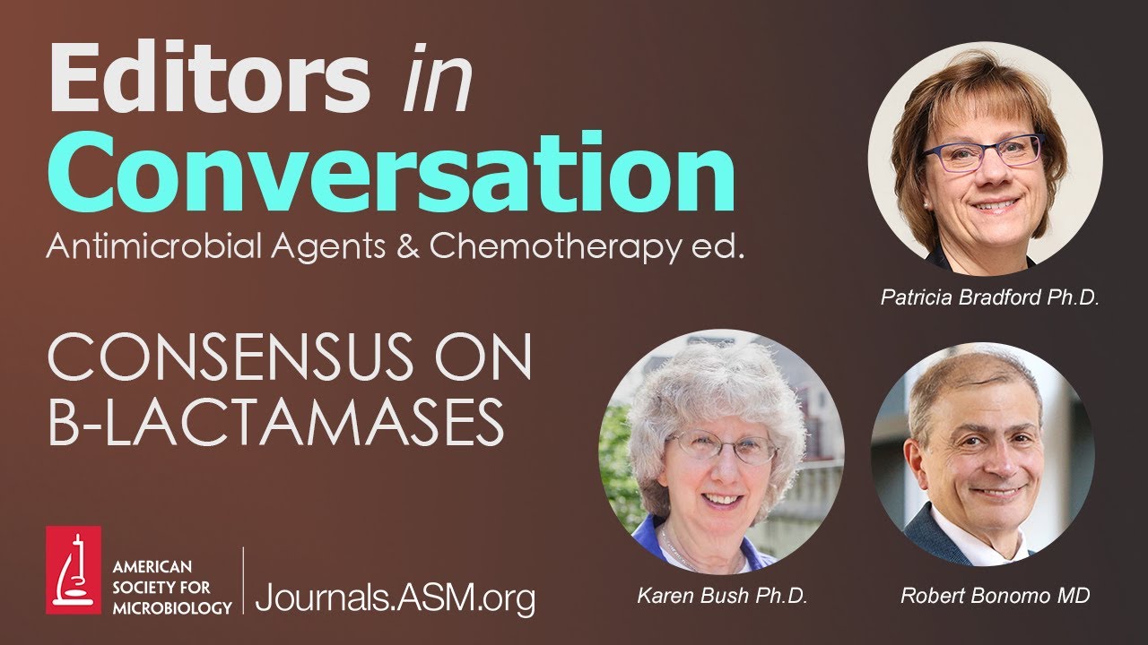 Consensus on B-lactamases