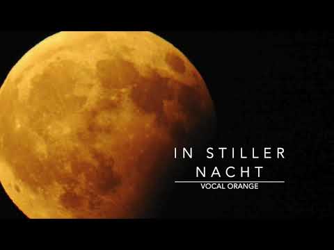 In stiller Nacht (Volkslied aus Wales, Arr. S. Fieser) - Frauenensemble vocal orange
