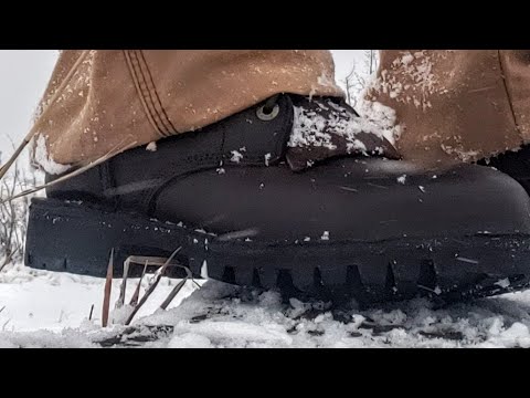 Jim Green AR8's  2 month review