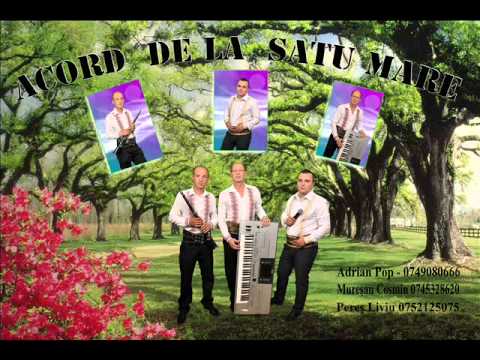 Acord de la Satu Mare - eu te iubesk