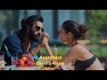 Evarevaro Animal Movie Song Slowed Reverb Trending Telugulyrical Love Explore Animal