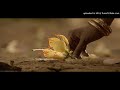 Neer Maathalappovinullil നീർമാതള പൂവിനുള്ളിൽ