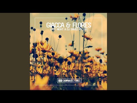 Last Night a DJ Saved My Life (Extended Mix)