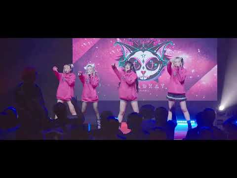 DEADKAT (Fleeting Lights) - DEADKAT [Overall] BLAZE LIVE Vol.11 :: 29 Jan 2023