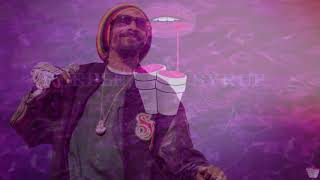 Snoop Dogg - A Bitch I Knew