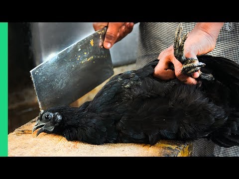 SHOCKING INDIAN FOOD!!! Did NOT Expect to See This in India!