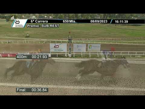 230908 C06 - NEGADOR - HIPODROMO LAS PIEDRAS