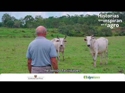 Historias que inspiran en el agro | pequeño productor pecuario de Oxapampa (Pasco)