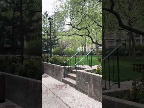 video 3