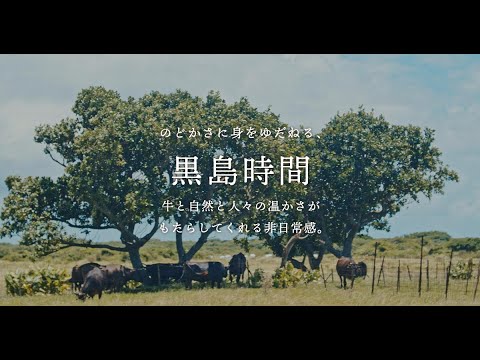 のどかさに身をゆだねる 黒島時間　|　沖縄 たけとみ 島時間