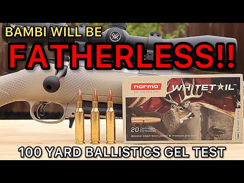 Norma Whitetail Ammo - Full Review of all Loadings