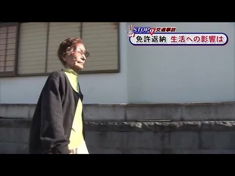 デジタル運転免許証: Scheuer は「ドライバーの日常生活をずっと楽にしたい」と考えています。