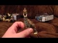 Poundland Special: Mythical Creatures, Pizza Van.