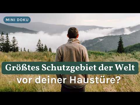 Protected areas in Germany – greenwashing or real impact?