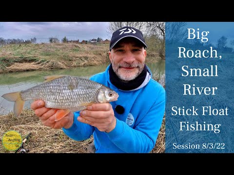 Big Roach From A Small River - Winter River Fishing - Trotting For Roach & Chub - 8/3/22 (Video 309)