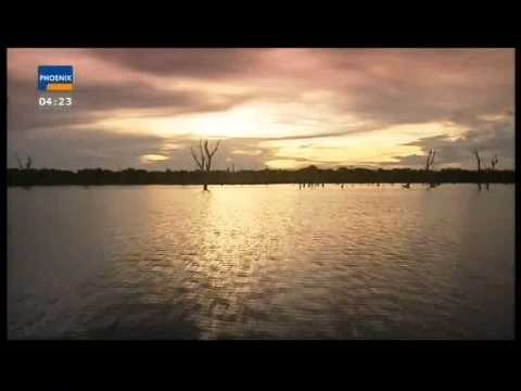 Tropenfieber - Die Eroberung des Amazonas (1 / 5)