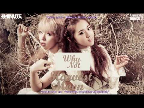 2YOON - Why Not [LEGENDADO PT-BR + ROMANIZED + HANGUL ]