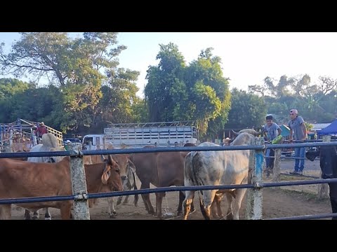 Nueva Guadalupe, San Miguel