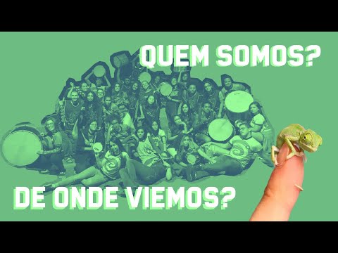 Você já ouviu falar da Unidos do Camaleão?