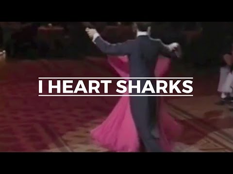 Myriad Creatures vs. I Heart Sharks - Why Am I So Holy?