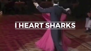 Myriad Creatures vs. I Heart Sharks - Why Am I So Holy?