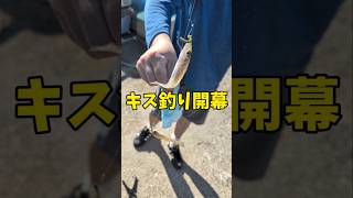 パワーイソメでキス釣り！白ギスが食べたくて🎣 #釣り #キス #ちょい投げ