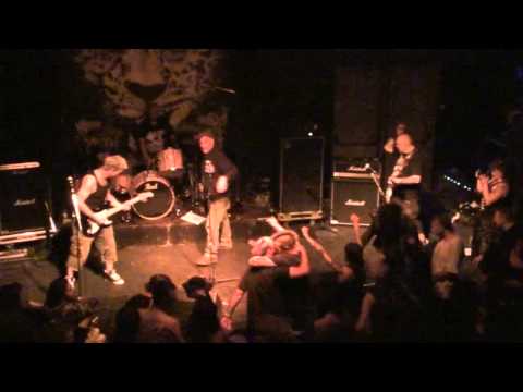 ENGLISH DOGS - Vive Le Punk 2013 (Full Set)