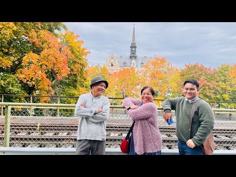 Fall in Söderhamn #sweden  #tour