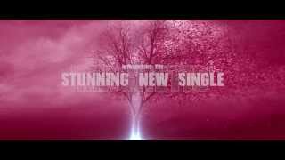 Ash Howes and Manhattan Clique Remixes of 'Magnetic' Out Now on iTunes!