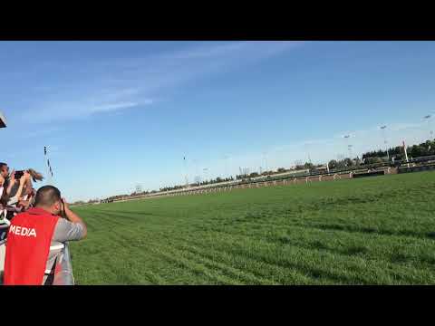 The Finish of The 2019 Gl $1 Million Ricoh Woodbine Mile