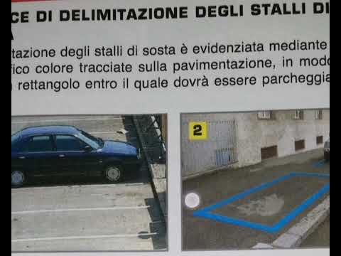 IL SIGNALI ORIZZONTALI.  (HORIZONTAL SIGNS )