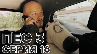 Сериал ПЕС - все серии - 3 сезон - 16 серия - смотреть онлайн