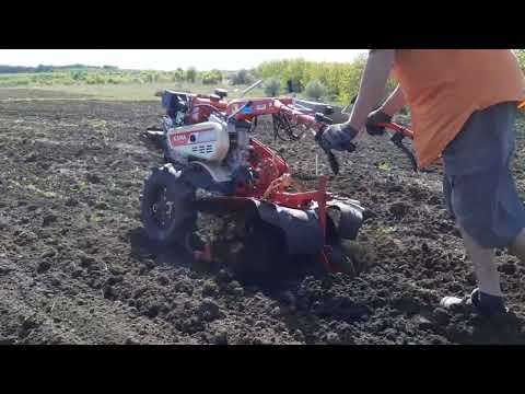 Motocultor Kama KDT 610 CE | Diesel | Kipor