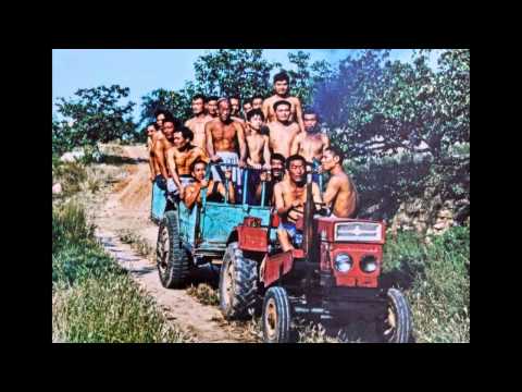 張煥講演会 (Zhang Huan Lecture)