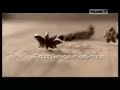Iklan Djarum Coklat Tercipta Ketepatan Kenikmatan 2014