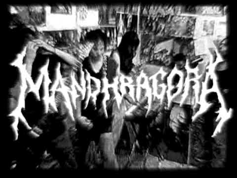Mandhragora - Nueva Cancion 2008
