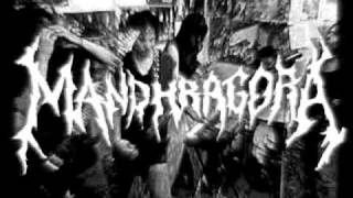 Mandhragora - Nueva Cancion 2008