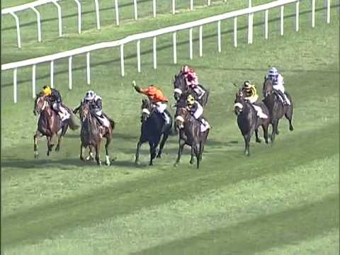 Premio Del Piazzale 2012 (GR 3)