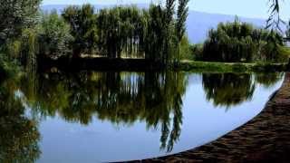 Photographs, Fatih Gökdere - A andorinha da primavera, Madredeus