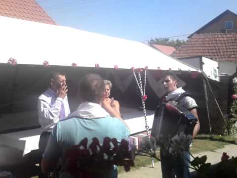 Dalibor Marić i Željko Đukanovic ćećija svadba kod žoleta  čerević  avgust 2010