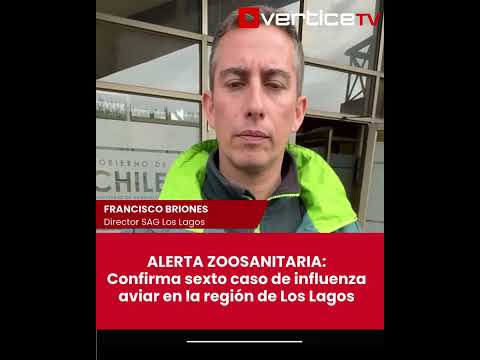 Título: 🚨🦠 LOS LAGOS: SAG confirma 6 casos de Gripe Aviar y refuerza vigilancia territorial